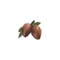 Ripened Strawberry