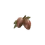 Ripened Strawberry