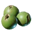 Coconut