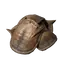 Ember Carapace