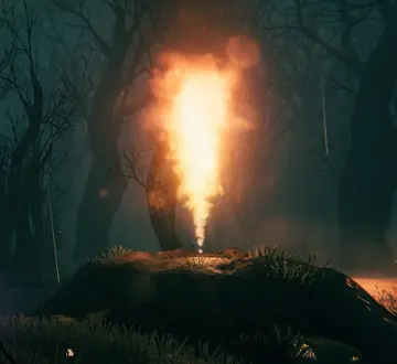 Geyser
