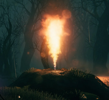 Geyser