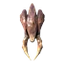 Seeker Soldier Trophy