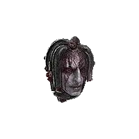 Preserved Medusa Head