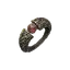 Ring of Percipience