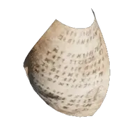 Paper