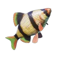 Shimmerfin