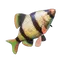 Shimmerfin