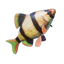 Shimmerfin