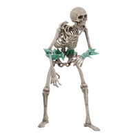 Hollow Skeleton