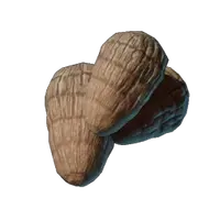 Raw Taro