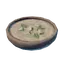 Vegetable Puree