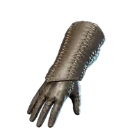 Wizard Gloves