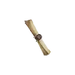 Dragon's Dogma 2 Letter to Lord Phaesus.webp