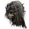 Elden-ring divine-beast-head.webp