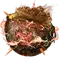 Elden-ring hefty-red-lightning-pot.webp