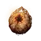 Elden-ring radagons-soreseal.webp