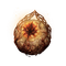 Elden-ring radagons-soreseal.webp