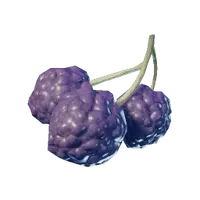 Purple Berries