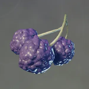 Purple Berries