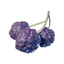 Purple Berries