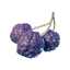 Purple Berries