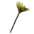 Spiddal Stick