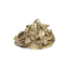 Exquisite Dried Fish