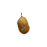 Ripened Quince