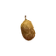 Ripened Quince