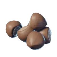 Hazelnut