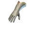 Scholar Of The Young Flame Gloves
