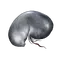 Elden-ring larval-tear.webp