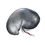 Elden-ring larval-tear.webp