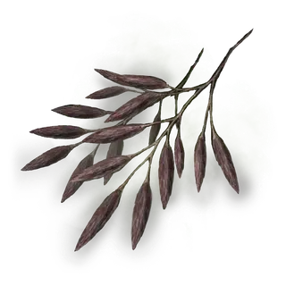 Spirit Raisin