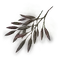 Elden-ring spirit-raisin.webp