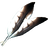 Hawk Feathers