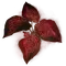 Elden-ring arteria-leaf.webp