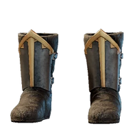 Exclusive Hollow Boots