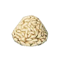 Wheat Grains
