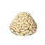 Wheat Grains
