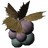Jazbay Grapes
