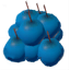 Blueberries