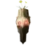 Greydwarf Brute Trophy