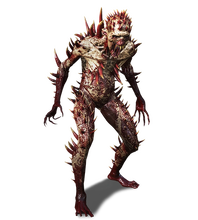 Scurver