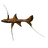 Cooked Tripod Spiderfish