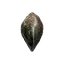 Dragon Scale