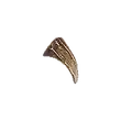 Dragon's Dogma 2 Pointed Fang.webp