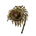 Elden-ring tarnished-golden-sunflower.webp