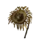 Elden-ring tarnished-golden-sunflower.webp